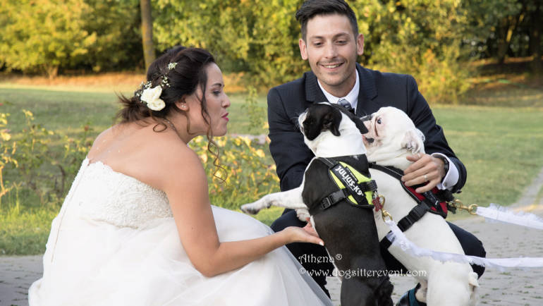 Athena Dog sitter per matrimoni