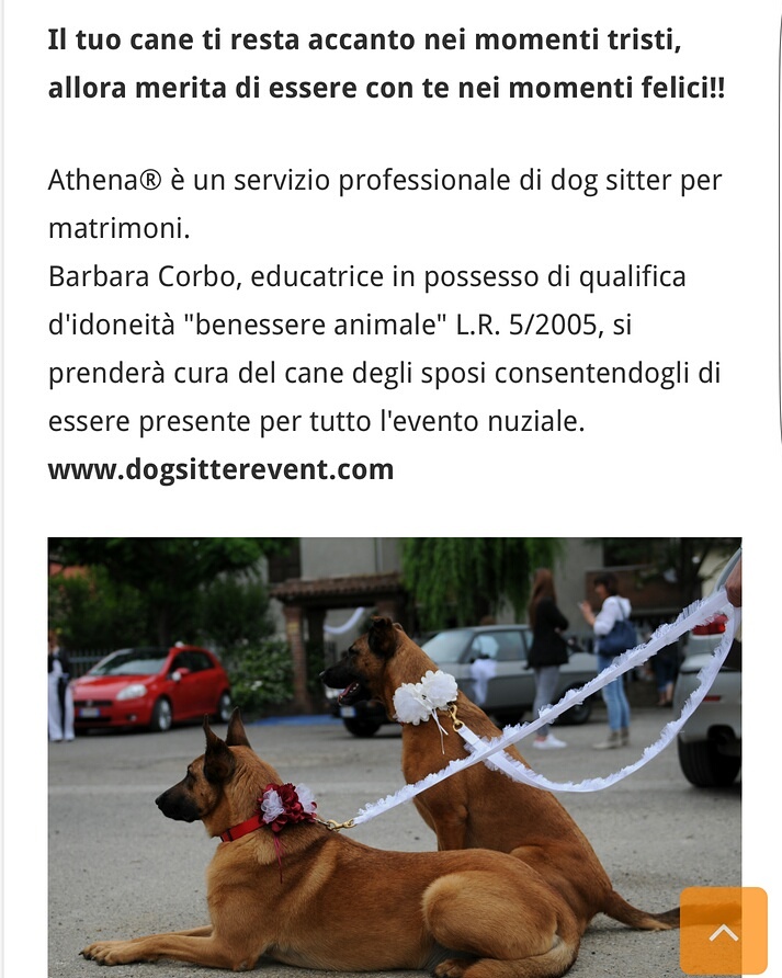 Vivaboy presenta Athena® dog sitter per matrimoni