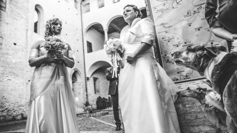 Wedding a Bologna con servizio dog sitter by Athena