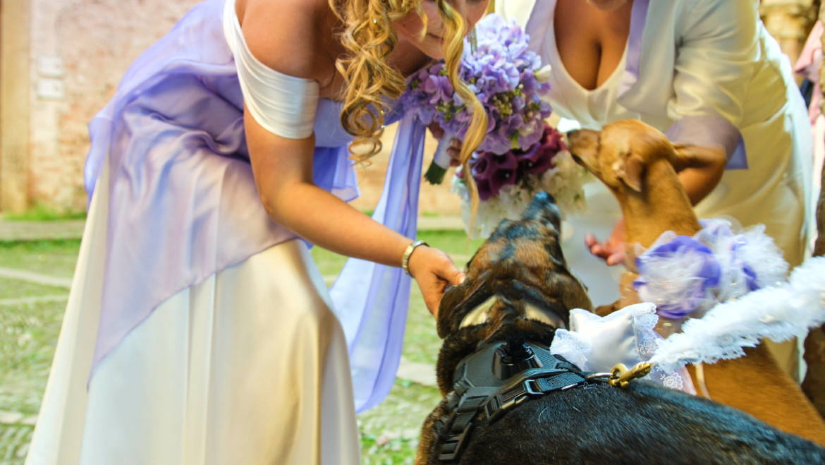 La rivista mensile “Vivaboy” parla dell’Unione di Mara e Claudia e del servizio wedding dog sitter di Athena